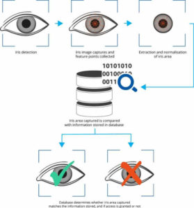 The Benefits Of Iris Identification | Argus TrueID